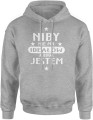 Nie ma ideałów Męska bluza z kapturem szara 