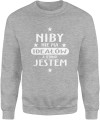 Nie ma ideałów Męska bluza szara 