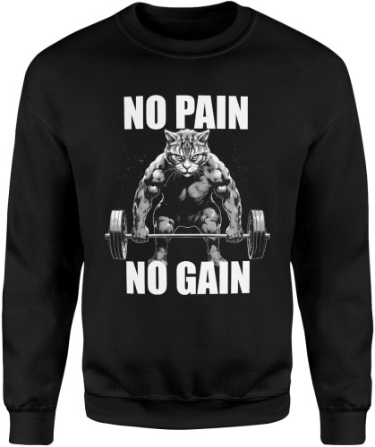 Na siłownie No Pain No Gain Męska bluza czarna color:#000000