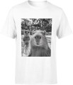 kapibara w basenie mem selfie chill wakacje capybara Męska koszulka 