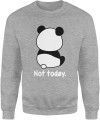 Panda Not Today zabawny leniwy miś chill Męska bluza 