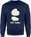 Panda Not Today zabawny leniwy miś chill Męska bluza 