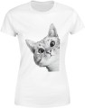 Uroczy kot z wielkimi oczami, dla miłośników mruczków Damska koszulka  