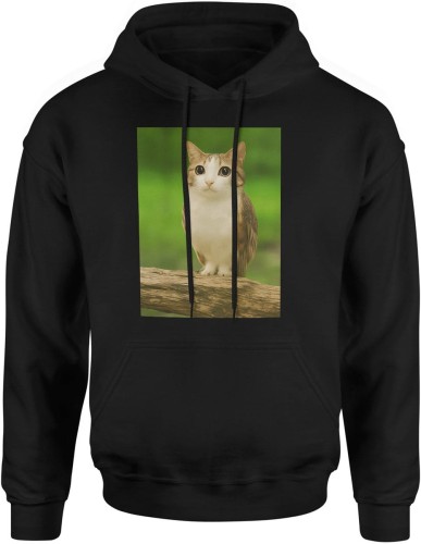 Meowl brainrot kot sowa tiktok Męska bluza z kapturem   
