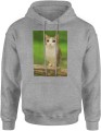 Meowl brainrot kot sowa tiktok Męska bluza z kapturem 