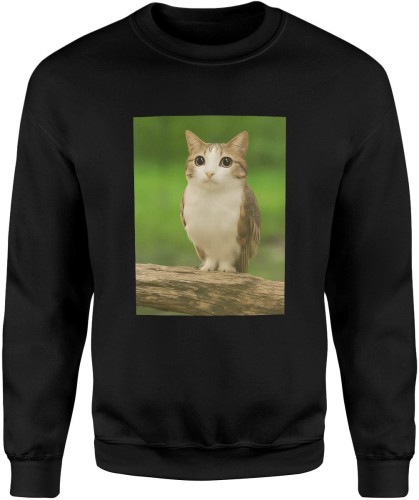 Meowl brainrot kot sowa tiktok Męska bluza    