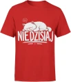 Nie dzisiaj kot śpioch leniwy zwierzak  Męska koszulka 