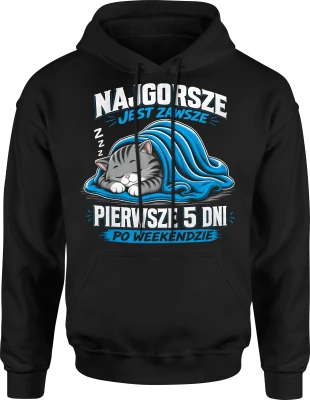 Najgorsze jest zawsze pierwsze 5 dni po weekendzie Męska bluza z kapturem