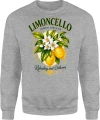 Limoncello cytryny włoski klimat Sycylia cytrusy Męska bluza 