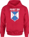 Zabytek Chroniony Prawem Rocznik Klasyk Legendarny Wiek Męska bluza z kapturem 