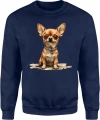 Chihuahua mini dog cute puppy funny Męska bluza 