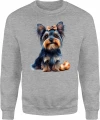 Yorkshire Terrier York Piesek Słodki Pupilek Męska bluza 