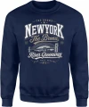 New York Bronx River Greenway USA Męska bluza 