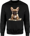 Buldog francuski puppy dog Męska bluza 