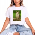 Meowl brainrot kot sowa tiktok Damska koszulka 